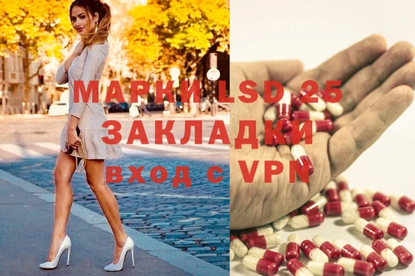 эйфоретик Гусь-Хрустальный