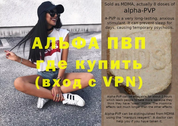 эйфоретик Гусь-Хрустальный