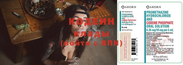 эйфоретик Гусь-Хрустальный