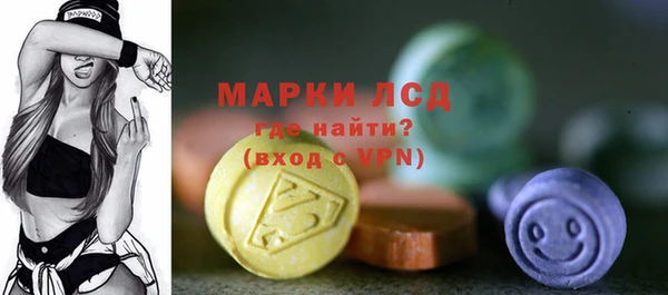эйфоретик Гусь-Хрустальный