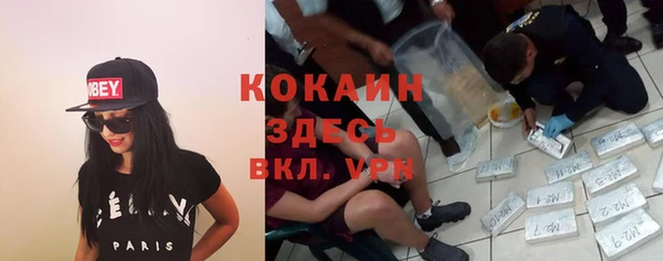 эйфоретик Гусь-Хрустальный