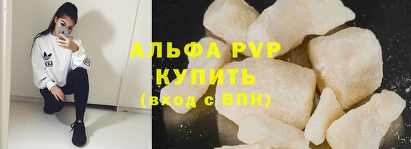 эйфоретик Гусь-Хрустальный