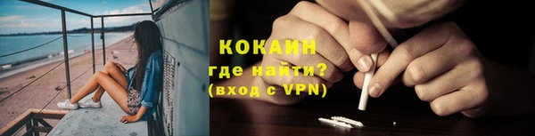 эйфоретик Гусь-Хрустальный