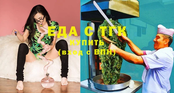 эйфоретик Гусь-Хрустальный