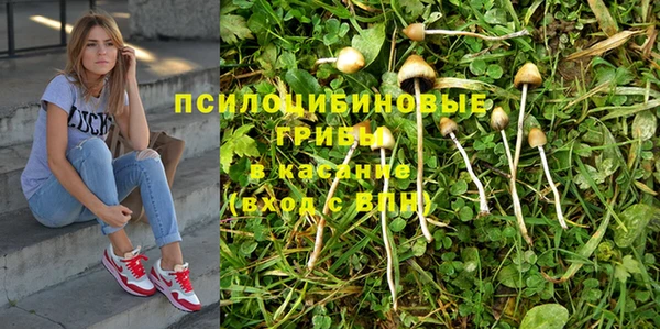 эйфоретик Гусь-Хрустальный