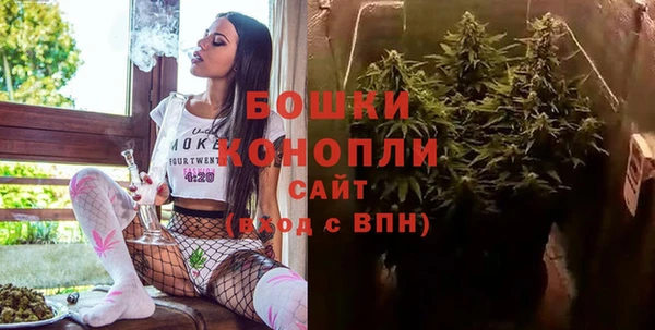 эйфоретик Гусь-Хрустальный