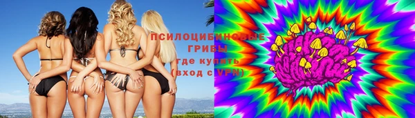 винт Гусев