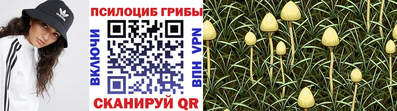 Псилоцибиновые грибы Cubensis Трёхгорный